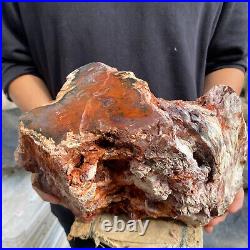 24lb Rare Natural petrified wood rough Wood fossil mineral specimen healing 24lb Rare Natural petrified wood rough Wood fossil mineral specimen healing