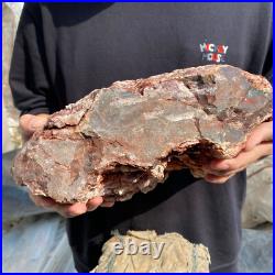 24lb Rare Natural petrified wood rough Wood fossil mineral specimen healing 24lb Rare Natural petrified wood rough Wood fossil mineral specimen healing