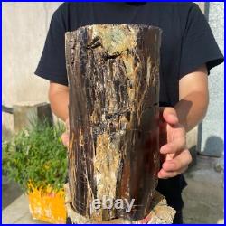 24lb Rare Natural petrified wood rough Wood fossil mineral specimen healing 24lb Rare Natural petrified wood rough Wood fossil mineral specimen healing
