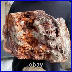 24lb Rare Natural petrified wood rough Wood fossil mineral specimen healing 24lb Rare Natural petrified wood rough Wood fossil mineral specimen healing