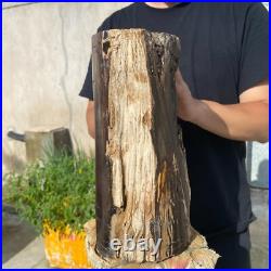 24lb Rare Natural petrified wood rough Wood fossil mineral specimen healing 24lb Rare Natural petrified wood rough Wood fossil mineral specimen healing