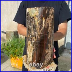 24lb Rare Natural petrified wood rough Wood fossil mineral specimen healing 24lb Rare Natural petrified wood rough Wood fossil mineral specimen healing