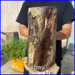 24lb Rare Natural petrified wood rough Wood fossil mineral specimen healing 24lb Rare Natural petrified wood rough Wood fossil mineral specimen healing