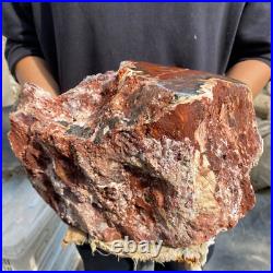 24lb Rare Natural petrified wood rough Wood fossil mineral specimen healing 24lb Rare Natural petrified wood rough Wood fossil mineral specimen healing