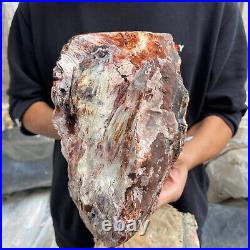 24lb Rare Natural petrified wood rough Wood fossil mineral specimen healing 24lb Rare Natural petrified wood rough Wood fossil mineral specimen healing