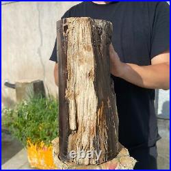 24lb Rare Natural petrified wood rough Wood fossil mineral specimen healing 24lb Rare Natural petrified wood rough Wood fossil mineral specimen healing