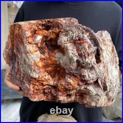 24lb Rare Natural petrified wood rough Wood fossil mineral specimen healing 24lb Rare Natural petrified wood rough Wood fossil mineral specimen healing
