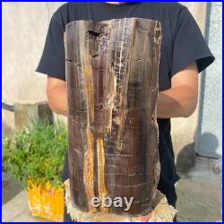 24lb Rare Natural petrified wood rough Wood fossil mineral specimen healing 24lb Rare Natural petrified wood rough Wood fossil mineral specimen healing