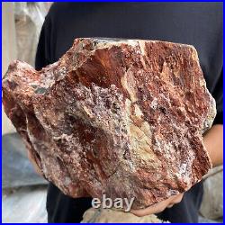 24lb Rare Natural petrified wood rough Wood fossil mineral specimen healing 24lb Rare Natural petrified wood rough Wood fossil mineral specimen healing