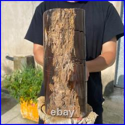 24lb Rare Natural petrified wood rough Wood fossil mineral specimen healing 24lb Rare Natural petrified wood rough Wood fossil mineral specimen healing