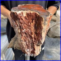 24lb Rare Natural petrified wood rough Wood fossil mineral specimen healing 24lb Rare Natural petrified wood rough Wood fossil mineral specimen healing