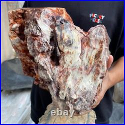 24lb Rare Natural petrified wood rough Wood fossil mineral specimen healing 24lb Rare Natural petrified wood rough Wood fossil mineral specimen healing