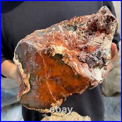 24lb Rare Natural petrified wood rough Wood fossil mineral specimen healing 24lb Rare Natural petrified wood rough Wood fossil mineral specimen healing