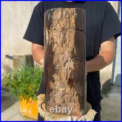 24lb Rare Natural petrified wood rough Wood fossil mineral specimen healing 24lb Rare Natural petrified wood rough Wood fossil mineral specimen healing