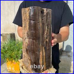 24lb Rare Natural petrified wood rough Wood fossil mineral specimen healing 24lb Rare Natural petrified wood rough Wood fossil mineral specimen healing