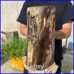 24lb Rare Natural petrified wood rough Wood fossil mineral specimen healing 24lb Rare Natural petrified wood rough Wood fossil mineral specimen healing
