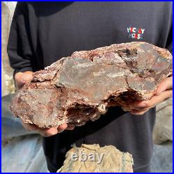 24lb Rare Natural petrified wood rough Wood fossil mineral specimen healing 24lb Rare Natural petrified wood rough Wood fossil mineral specimen healing