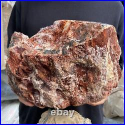 24lb Rare Natural petrified wood rough Wood fossil mineral specimen healing 24lb Rare Natural petrified wood rough Wood fossil mineral specimen healing