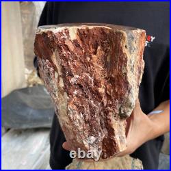 24lb Rare Natural petrified wood rough Wood fossil mineral specimen healing 24lb Rare Natural petrified wood rough Wood fossil mineral specimen healing