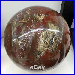 250mm Huge Natural Petrified Wood fossil Sphere Crystal Ball from Indonesia A025