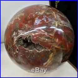 250mm Huge Natural Petrified Wood fossil Sphere Crystal Ball from Indonesia A025
