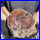 25_3LB_Natural_petrified_wood_rough_Wood_fossil_mineral_specimen_healing_energy_01_wjs