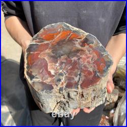 25.3lb Rare Natural petrified wood rough Wood fossil mineral specimen healing 25.3lb Rare Natural petrified wood rough Wood fossil mineral specimen healing