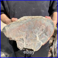 25.3lb Rare Natural petrified wood rough Wood fossil mineral specimen healing 25.3lb Rare Natural petrified wood rough Wood fossil mineral specimen healing