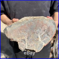 25.3lb Rare Natural petrified wood rough Wood fossil mineral specimen healing 25.3lb Rare Natural petrified wood rough Wood fossil mineral specimen healing