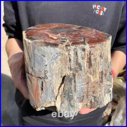 25.3lb Rare Natural petrified wood rough Wood fossil mineral specimen healing 25.3lb Rare Natural petrified wood rough Wood fossil mineral specimen healing