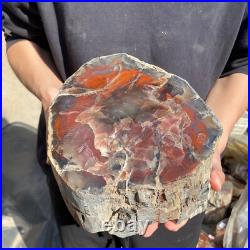 25.3lb Rare Natural petrified wood rough Wood fossil mineral specimen healing 25.3lb Rare Natural petrified wood rough Wood fossil mineral specimen healing