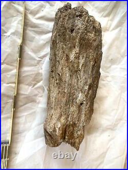 25.6 lbs 19 Arizona Petrified Wood Log, Estate Find from 1930's Home Texas