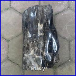 25 Kg Indonesia Petrified Wood Black Gray White Fossils Full Polish