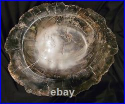25 Lbs Petrified Wood Ashtray/bowl Fossil