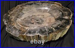 25 Lbs Petrified Wood Ashtray/bowl Fossil