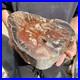 25lb_Rare_Natural_petrified_wood_rough_Wood_fossil_mineral_specimen_healing_01_ulf