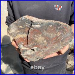 25lb Rare Natural petrified wood rough Wood fossil mineral specimen healing 25lb Rare Natural petrified wood rough Wood fossil mineral specimen healing