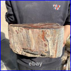 25lb Rare Natural petrified wood rough Wood fossil mineral specimen healing 25lb Rare Natural petrified wood rough Wood fossil mineral specimen healing