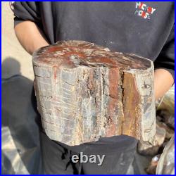 25lb Rare Natural petrified wood rough Wood fossil mineral specimen healing 25lb Rare Natural petrified wood rough Wood fossil mineral specimen healing