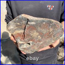25lb Rare Natural petrified wood rough Wood fossil mineral specimen healing 25lb Rare Natural petrified wood rough Wood fossil mineral specimen healing