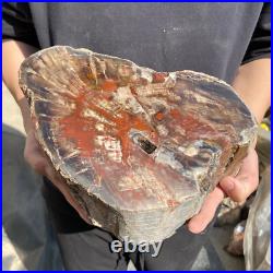 25lb Rare Natural petrified wood rough Wood fossil mineral specimen healing 25lb Rare Natural petrified wood rough Wood fossil mineral specimen healing