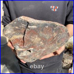 25lb Rare Natural petrified wood rough Wood fossil mineral specimen healing 25lb Rare Natural petrified wood rough Wood fossil mineral specimen healing