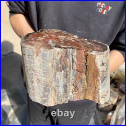 25lb Rare Natural petrified wood rough Wood fossil mineral specimen healing 25lb Rare Natural petrified wood rough Wood fossil mineral specimen healing