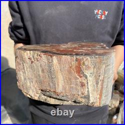 25lb Rare Natural petrified wood rough Wood fossil mineral specimen healing 25lb Rare Natural petrified wood rough Wood fossil mineral specimen healing