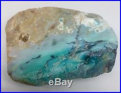260.9g Indonesian Blue Opalized Petrified Wood Rough Carving Stone