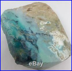 260.9g Indonesian Blue Opalized Petrified Wood Rough Carving Stone