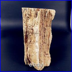 2612g Polished PETRIFIED WOOD BRANCH Fossil Madagascar A2357