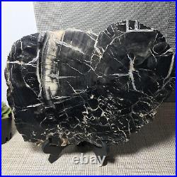 267mm Natural Petrified Wood Fossil Crystal Rough Slice From Madagascar A1053