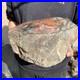 26_8lb_Rare_Natural_petrified_wood_rough_Wood_fossil_mineral_specimen_healing_01_lisp