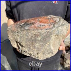 26.8lb Rare Natural petrified wood rough Wood fossil mineral specimen healing